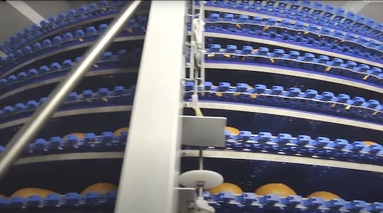 Спіральний конвеєр (кулер) для охолодження хліба та хлібобулочних виробів