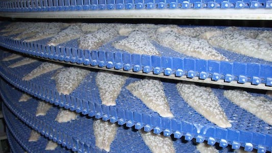 Система заморозки та глазурування риби та морепродуктів