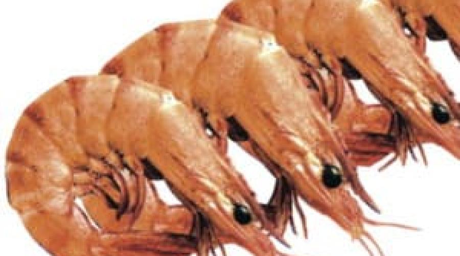 Пакування заморожених морепродуктів у пакет